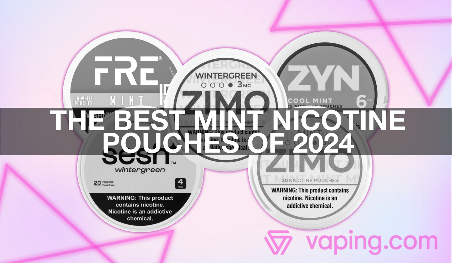 The Best Mint Nicotine Pouches of 2024