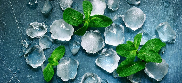 The Difference Between Ice and Menthol Flavours The Difference Between Ice and Menthol Flavours