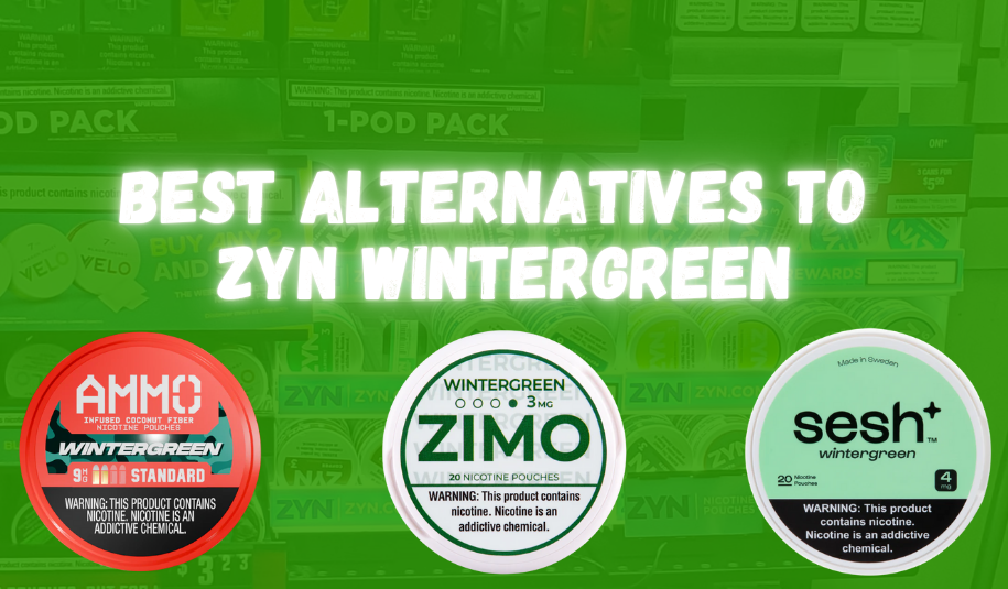 best zyn wintergreen alternatives