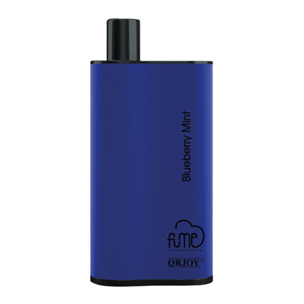 blueberry mint vape Blueberry Mint FLUM Pebble Vape for Wholesale main image 0