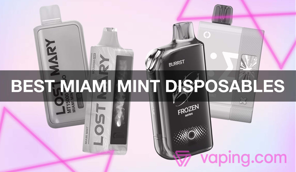 The Best Miami Mint Disposable Vapes The Best Miami Mint Disposable Vapes