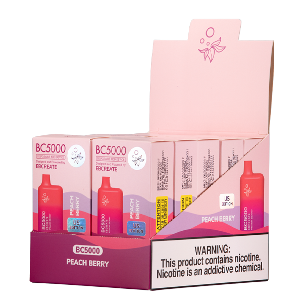 Peach Berry BC5000 EBCREATE Vape Bundle