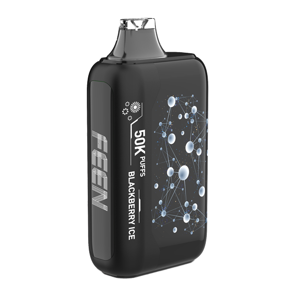 Blackberry Ice FEEN 50K Disposable