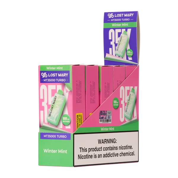 Winter Mint Lost Mary MT35000 Turbo Disposables