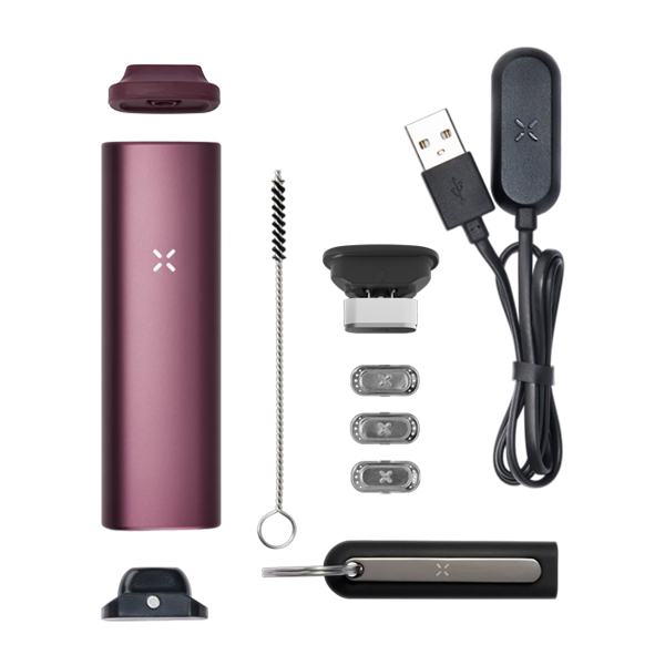 ELderberry Pax Plus dry herb vaporizer  kit